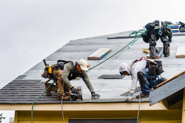 Professional Roof Installation technician working in Long Beach, IN